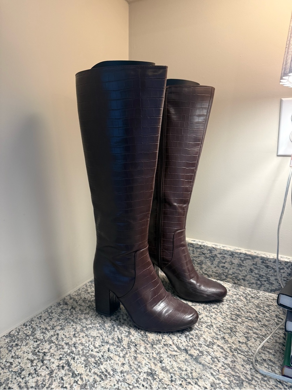 Target Dark Brown Croc-Embossed Knee Boots